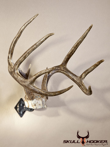 Bone Bracket | Skull Hooker | European Skull Bracket System, Skull ...