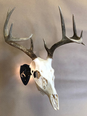 Realtree Edition Little Hooker | Skull Hooker | European Skull Bracket ...